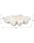 Clam Shell Bowl