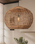 Koi Light