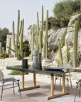 Torii 31 Dining Table