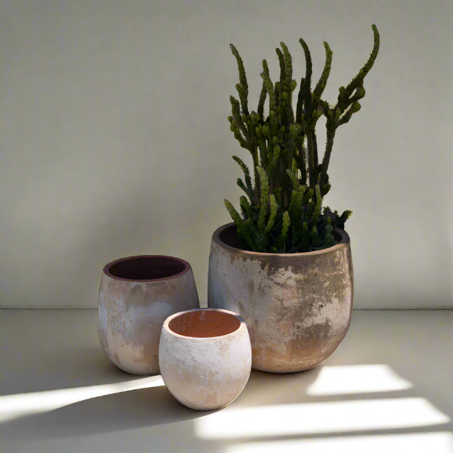 aged planter pots Aged Widemouth Short Pots