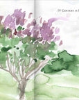 Becoming a Gardener : Catie Marron