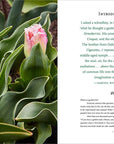 Becoming a Gardener : Catie Marron