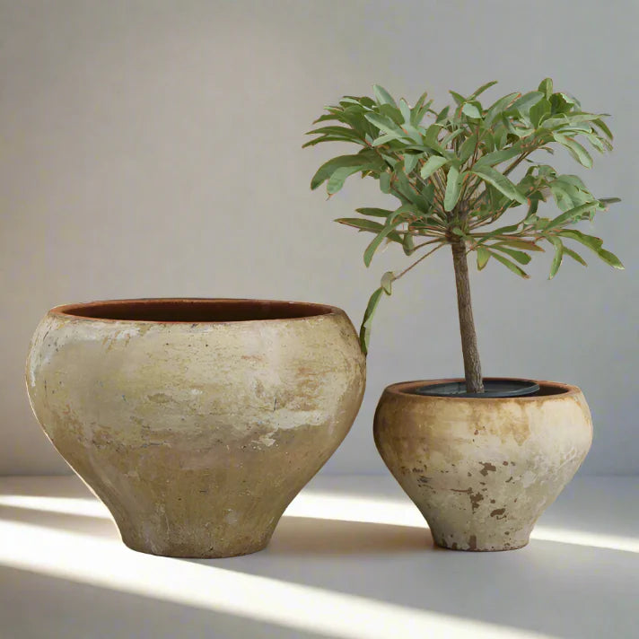 Pots & Planters