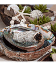 Abalone Shells