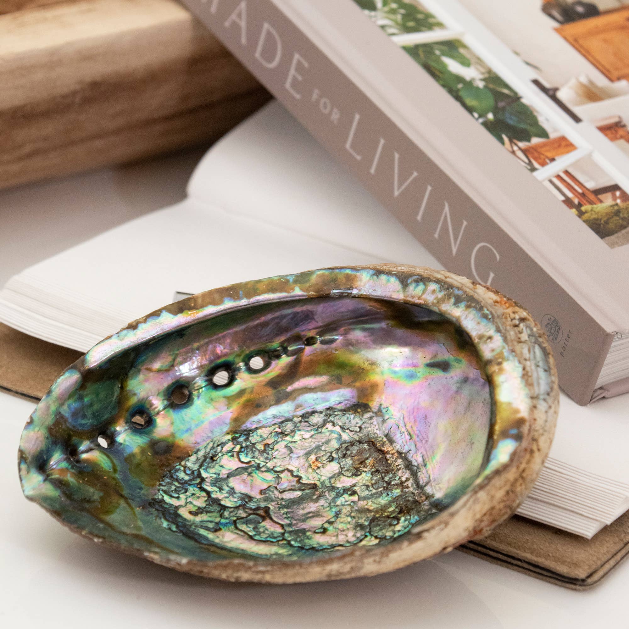 Abalone Shells