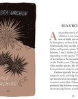 Pocket Nature: Beachcombing