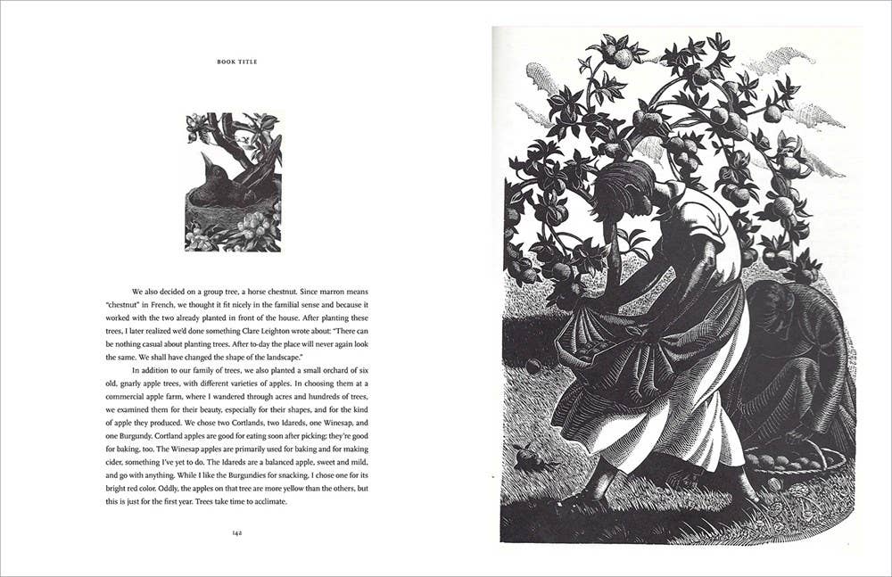 Becoming a Gardener : Catie Marron