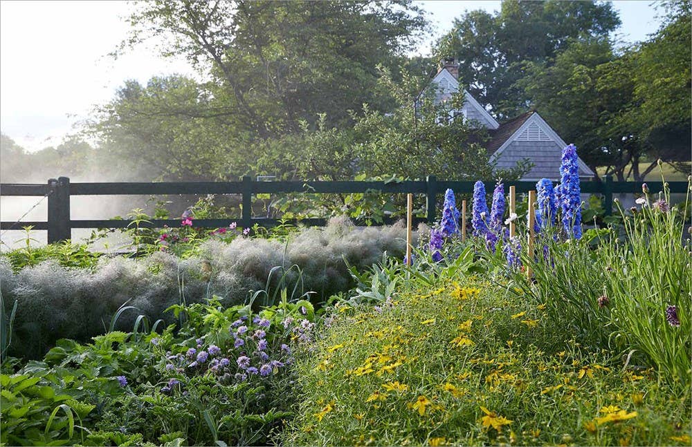 Becoming a Gardener : Catie Marron