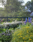 Becoming a Gardener : Catie Marron