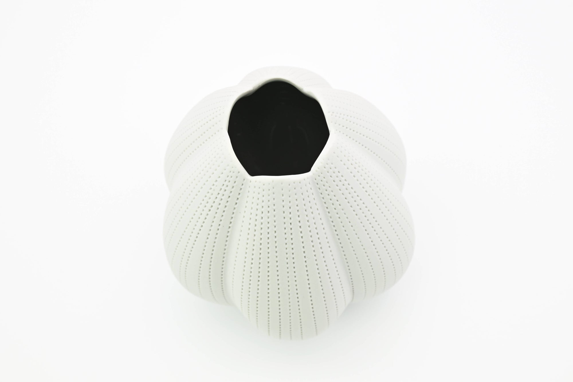 Champa Handcrafted Porcelain Vase