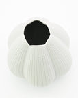 Champa Handcrafted Porcelain Vase