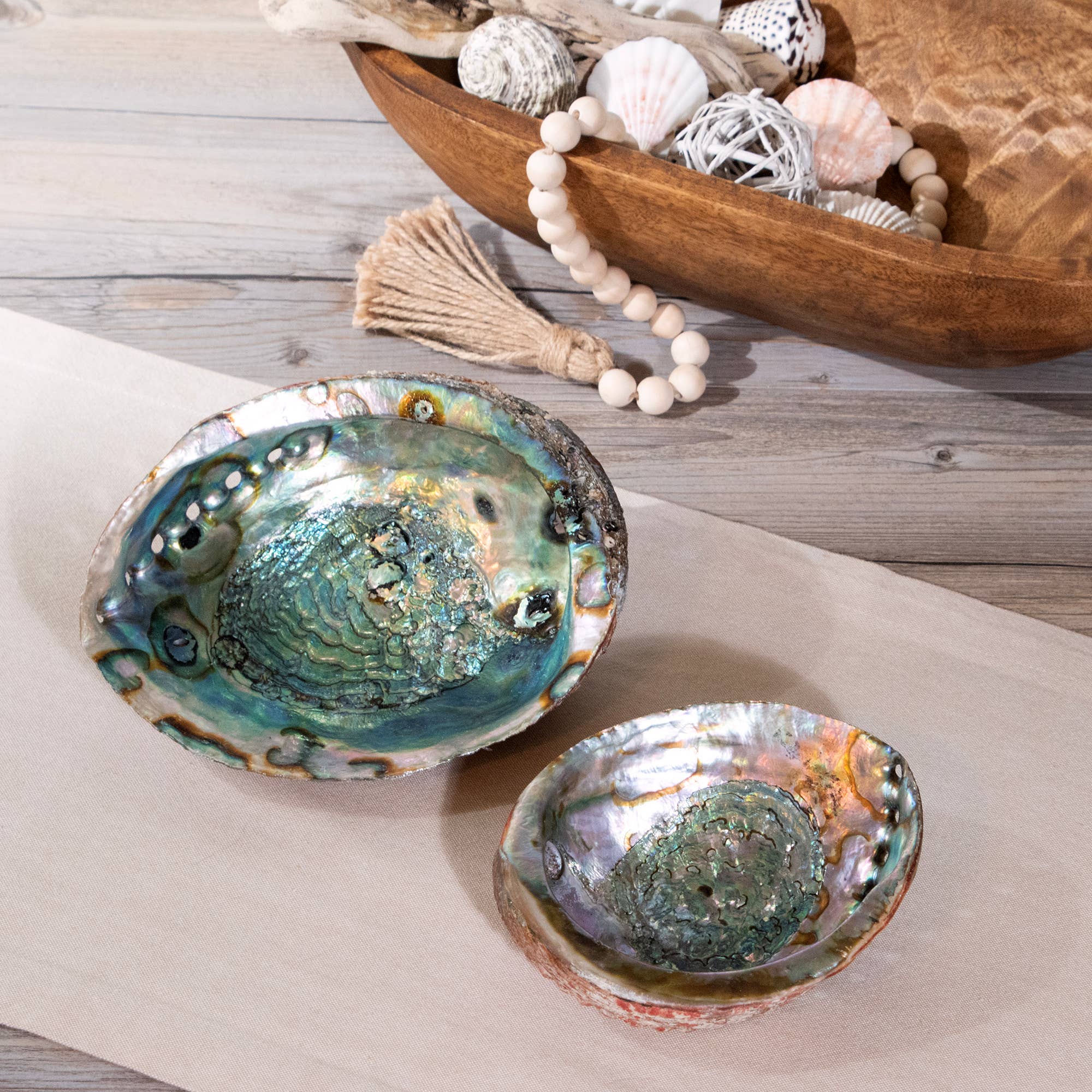 Abalone Shells
