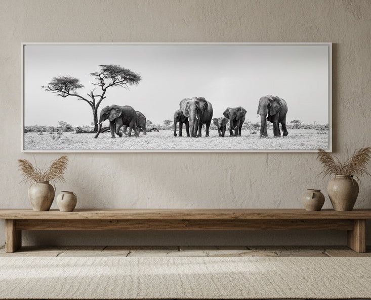 Elephants, Savute, Botswana