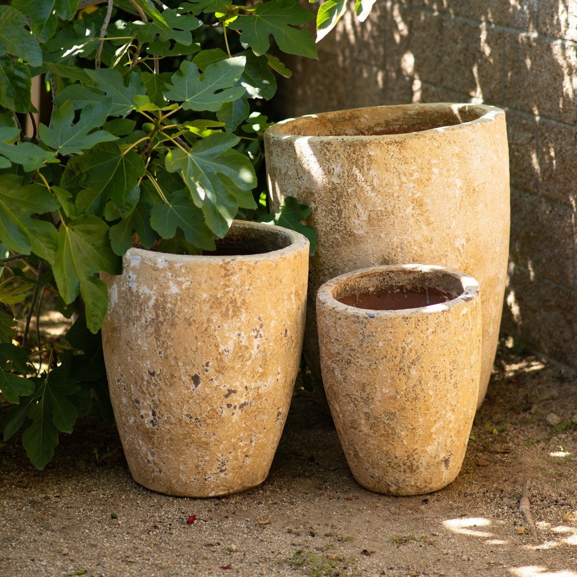 Bubble Cone Pot