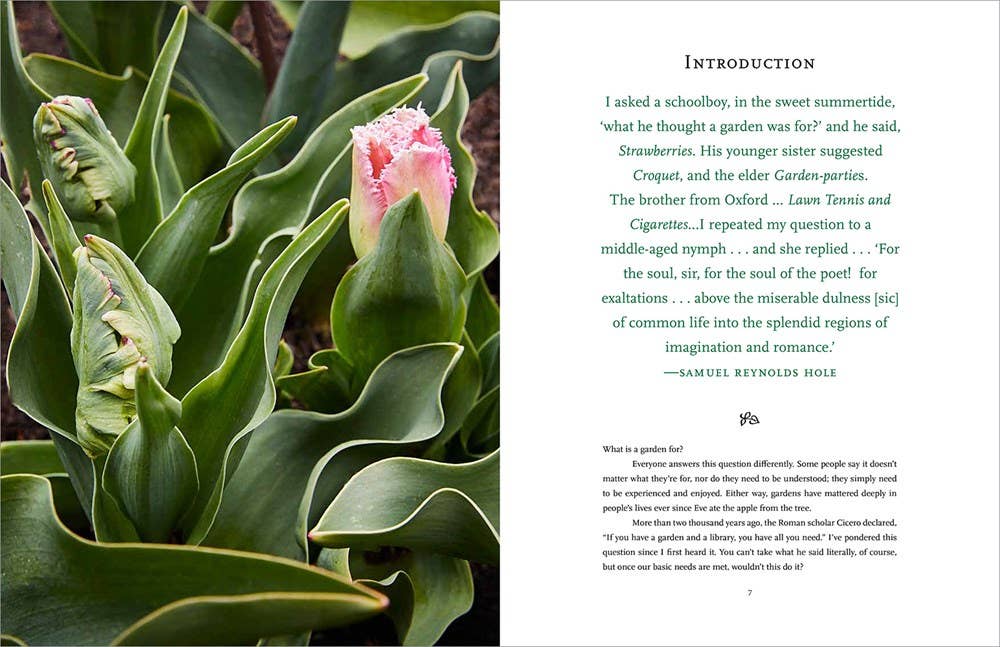 Becoming a Gardener : Catie Marron