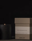 Into The Briar Candle